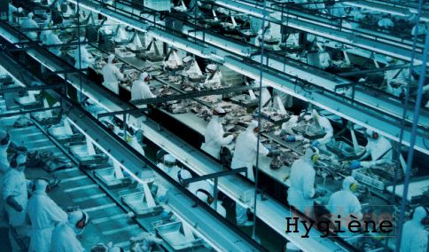 moteur triphasé industrie agroalimentaire
